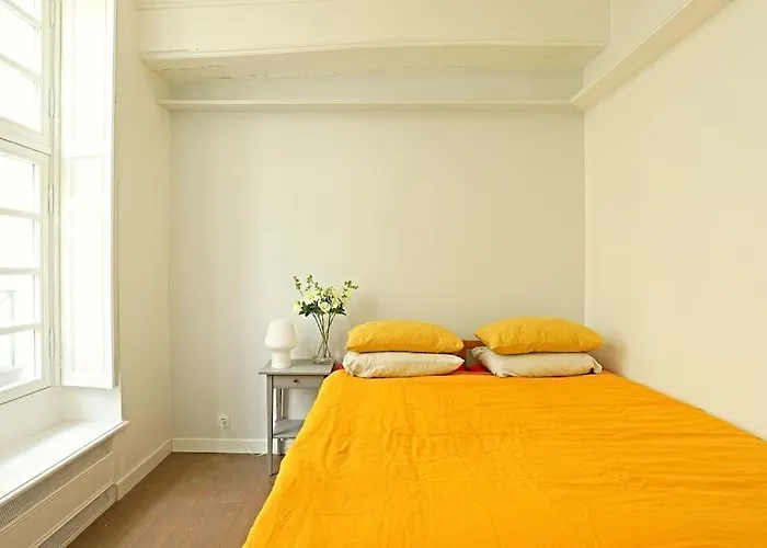 Luxurious Apartment In Le Marais
